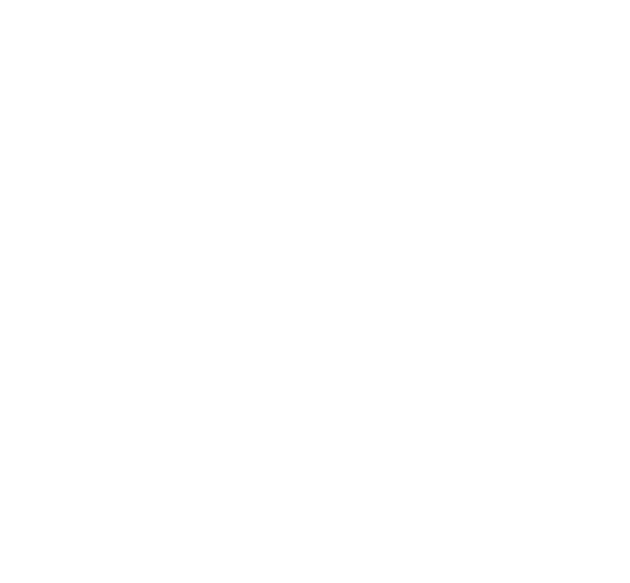 brain